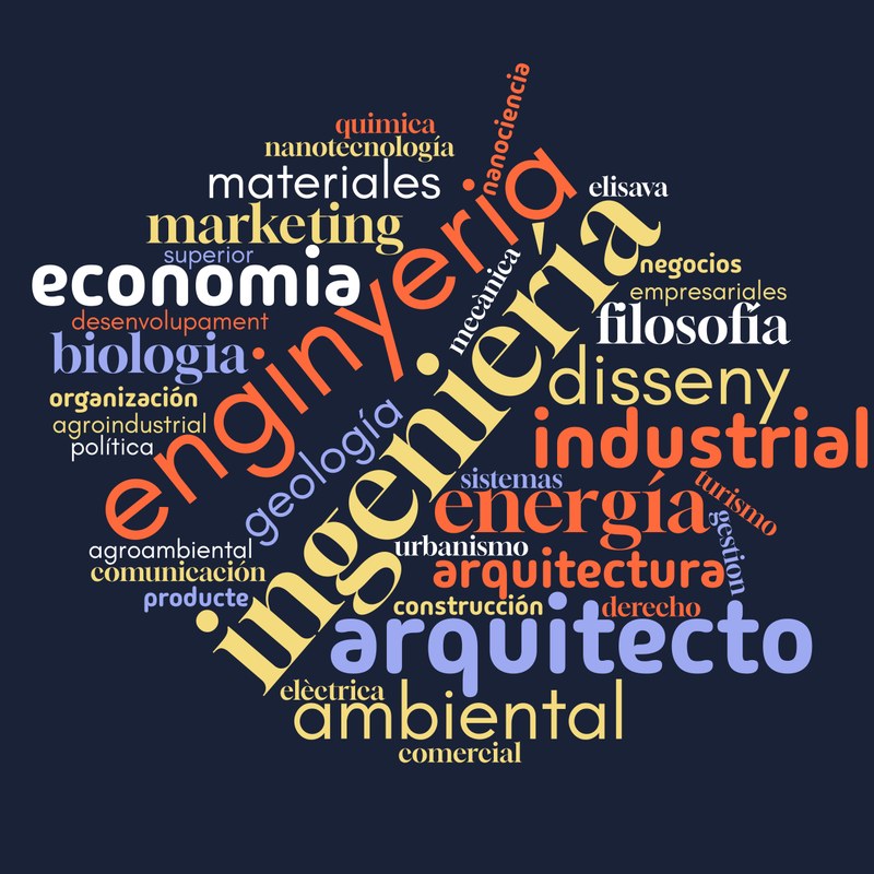 wordcloud_formación_inicial.jpg